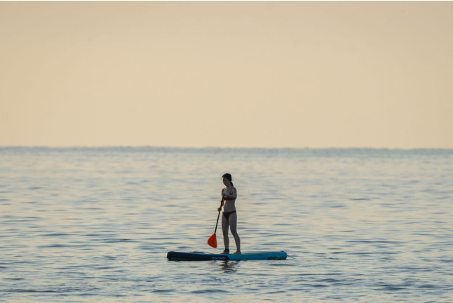 Alquiler de Paddle Surf (Barcelona)