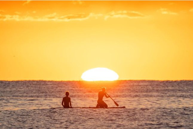 Alquiler de Paddle Surf (Barcelona)