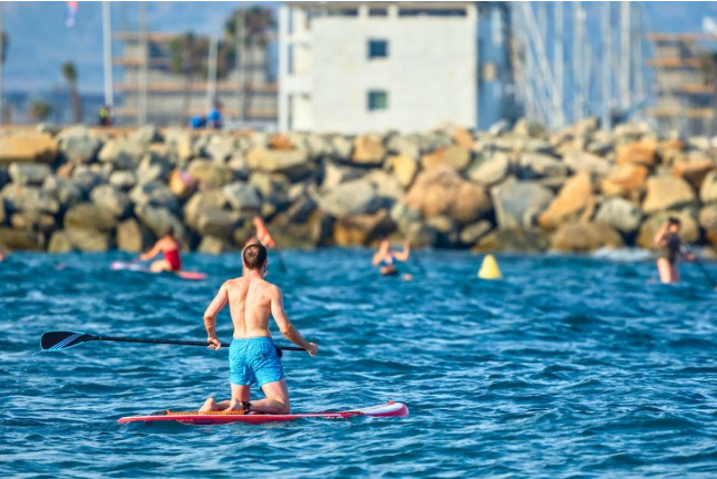 Alquiler de Paddle Surf (Barcelona)