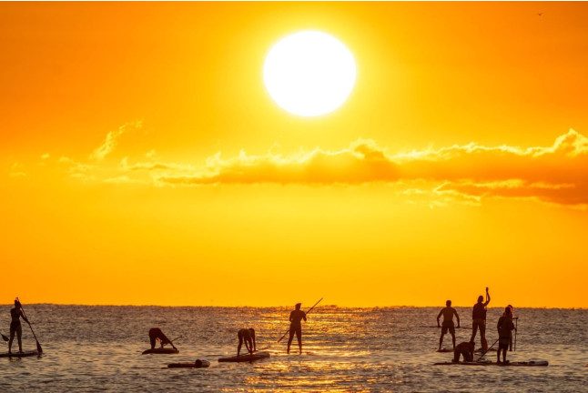 Alquiler de Paddle Surf (Barcelona)