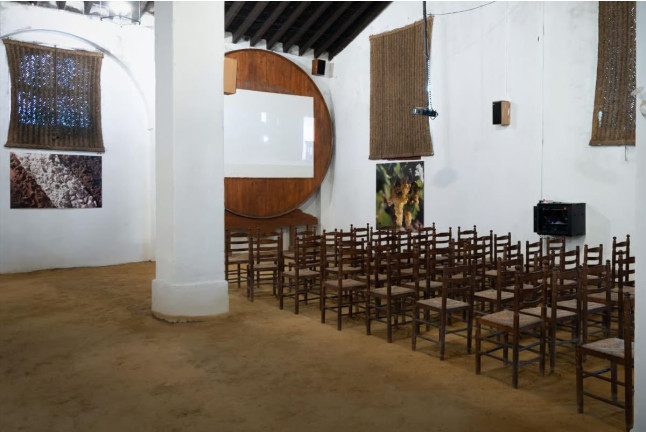 Visita Clásica: Visita a Bodega y Cata de Vinos en Álvaro Domecq (Jerez de la Frontera, Cádiz)