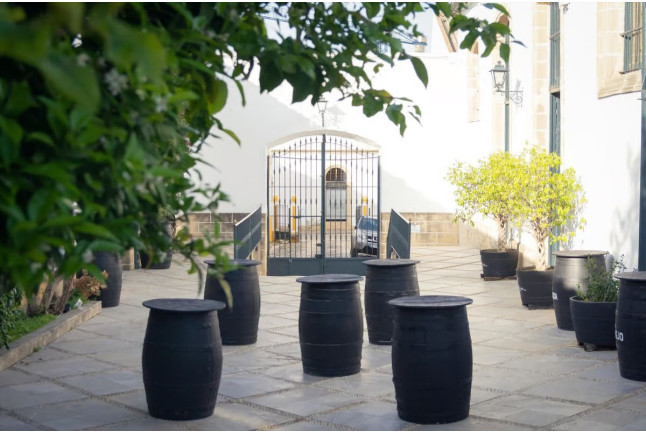 Visita Clásica: Visita a Bodega y Cata de Vinos en Álvaro Domecq (Jerez de la Frontera, Cádiz)