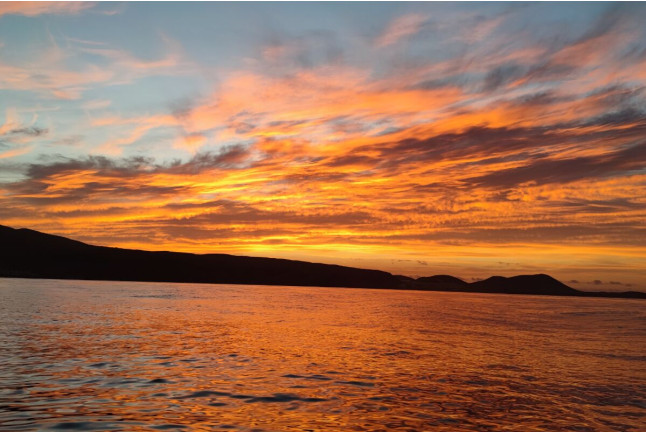 Amanecer en Barco con Fotos y Vídeos (La Caleta de Adeje, Tenerife)