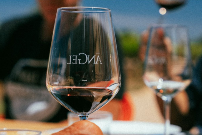 Tour y Cata: Visita con Cata y Degustación en Bodegas Ángel (Santa María del Camí, Mallorca)