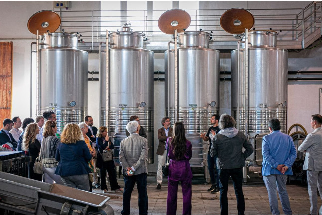 Tour y Cata: Visita con Cata y Degustación para dos en Bodegas Ángel (Santa María del Camí, Mallorca)