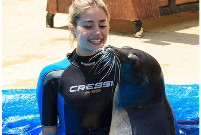 Animal Experience: Interactuar con Leones Marinos, Cuidador por un Día y Entrada a Mundomar (Benidorm, Alicante)