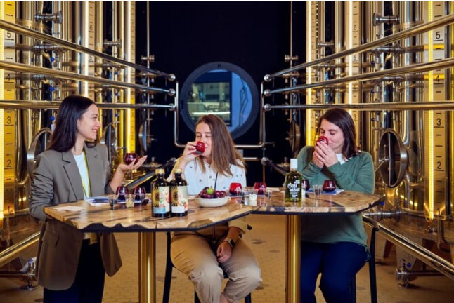 AOVEland GastroXperience: Visita, Cata y Menú Degustación para dos (Baeza, Jaén)