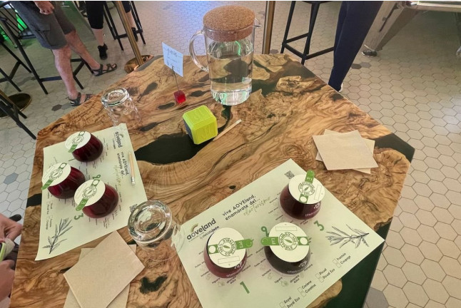 AOVEland GastroXperience: Visita, Cata y Menú Degustación para dos (Baeza, Jaén)