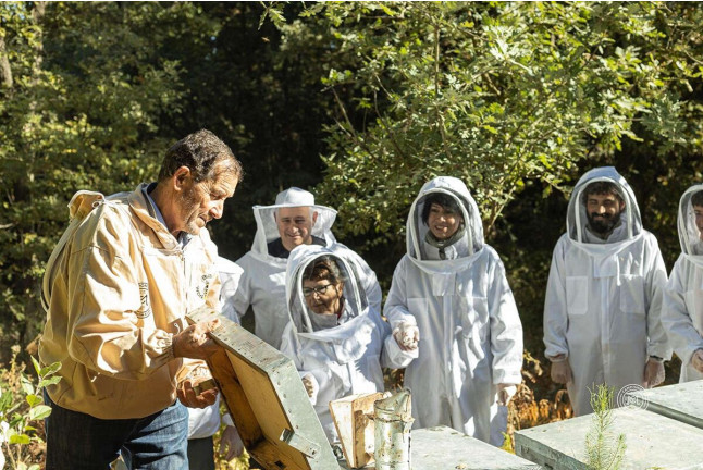 Experiencia de Apicultura en Campomiel - La Mielería (Ventosa, La Rioja)