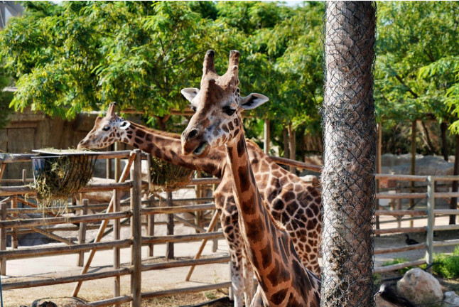 Entrada a Terra Natura y Aqua Natura (Murcia)