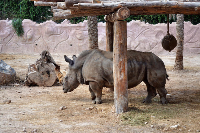 Entrada a Terra Natura y Aqua Natura (Murcia)