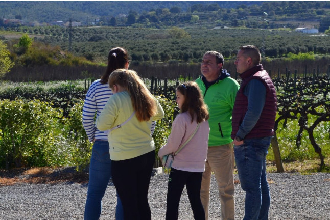 Visita Guiada a los Viñedos y Bodega con Cata de Cavas Palagó para dos en Artcava - Celler Can Batlle (Avinyó Nou, Barcelona)