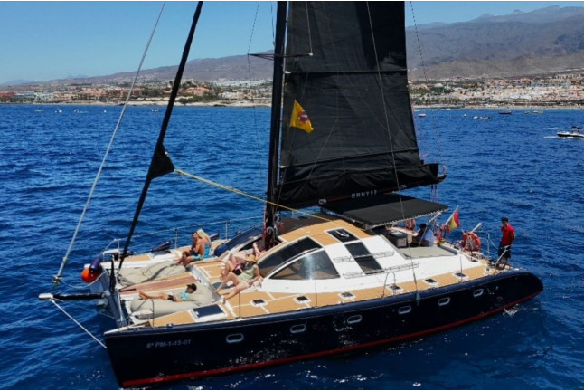 Excursión en Catamarán Chill-Out con Avistamiento de Cetáceos (Costa Adeje, Tenerife) 