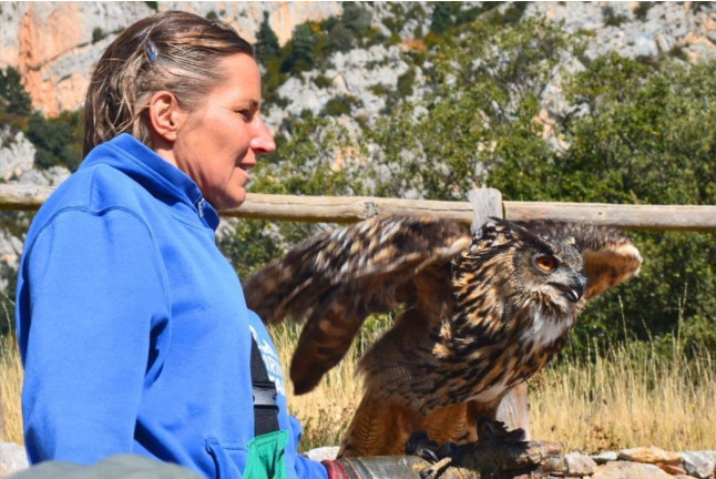 Exhibición de Vuelo de Aves Rapaces (Lleida)