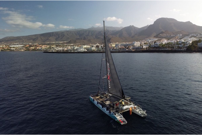 Avistamiento y Escucha de Ballenas y Delfines de 5 horas (Costa Adeje, Tenerife) 