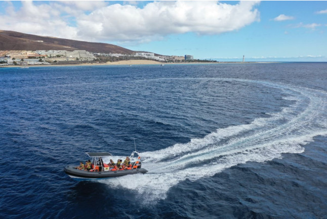 Tour de Avistamiento de Cetáceos para ver Delfines y Ballenas (Morro Jable, Fuerteventura)