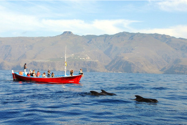 Excursión en Barco con Avistamiento de Cetáceos (La Gomera)