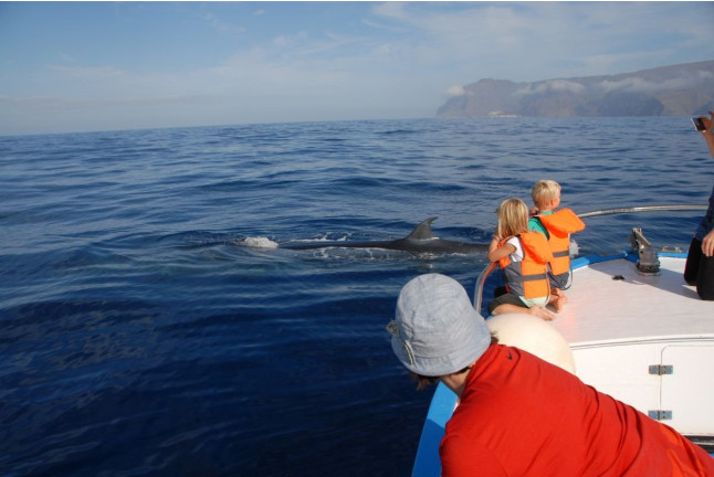 Excursión en Barco con Avistamiento de Cetáceos (La Gomera)