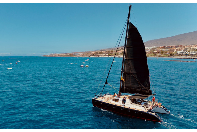 Excursión en Catamarán Chill-Out con Avistamiento de Cetáceos (Costa Adeje, Tenerife) 