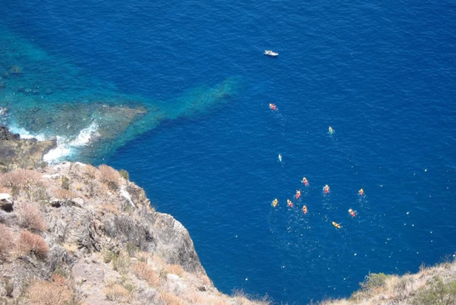 Paseo en Barco, Avistamiento de Cetáceos y Kayak (Los Gigantes, Tenerife)