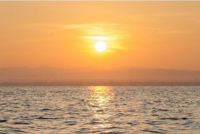 Delfines y Amanecer: Avistamiento de Delfines en Barco (S'Arenal, Mallorca)