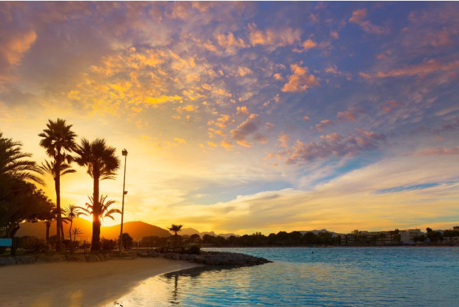 Delfines y Amanecer: Avistamiento de Delfines en Barco (S'Arenal, Mallorca)