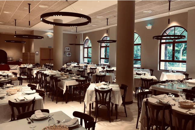 Escapada de 1 o 2 Noches con Acceso al Lago Termal y Cena en Hotel Balneario de La Virgen (Jaraba, Zaragoza)