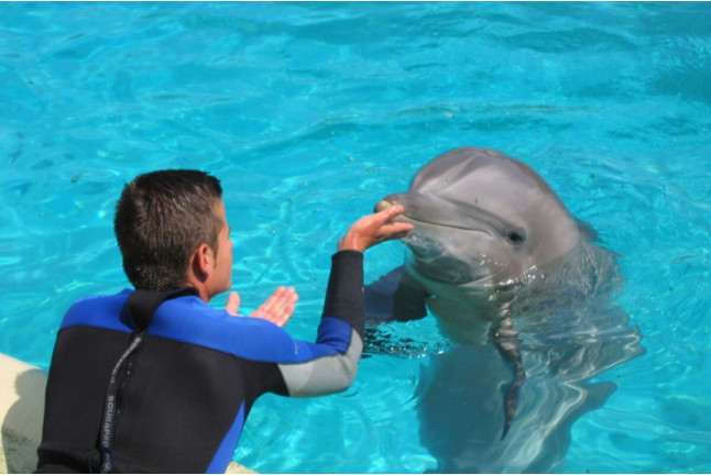 Encuentro con Delfines (Tarragona)