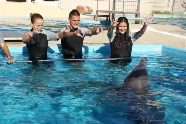 Encuentro con Delfines (Tarragona)