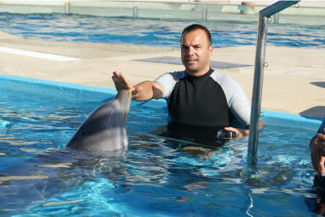 Encuentro con Delfines (Tarragona)