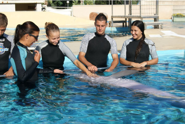 Encuentro con Delfines (Tarragona)