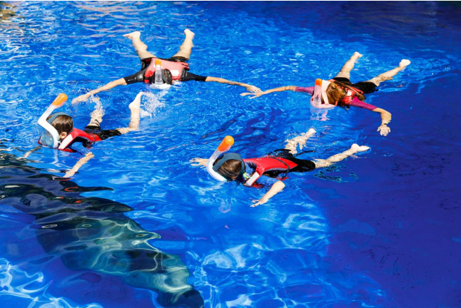 Baño con Leones Marinos en Selwo Marina Delfinarium (Málaga)
