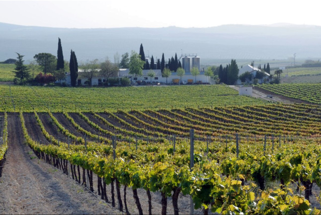 Baños Romanos y Visita a Bodegas Pérez Barquero con Degustación de Vinos para dos (Córdoba) 