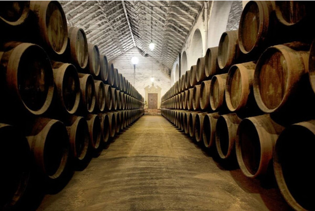 Baños Romanos y Visita a Bodegas Pérez Barquero con Degustación de Vinos para dos (Córdoba) 