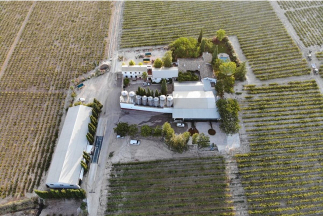 Baños Romanos y Visita a Bodegas Pérez Barquero con Degustación de Vinos para dos (Córdoba) 