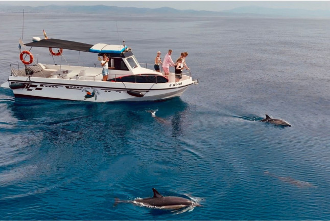 Salida en Barco Privado con Avistamiento de Delfines, Snorkel, Paddle SUP y Bebida Ilimitada para dos (Benalmádena, Málaga)