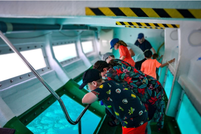 Avistamiento de Cetáceos en Barco Celia Cruz con Visión Submarina (Fuerteventura, Las Palmas)