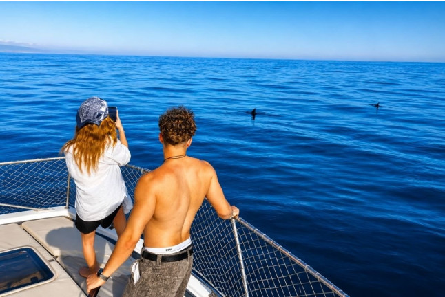 Paseo en Barco Privado para dos en Busca de Delfines por la Bahía de Estepona con Cava y Picoteo (Málaga)
