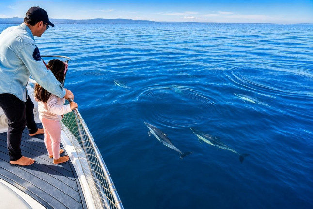 Paseo en Barco Privado para dos en Busca de Delfines por la Bahía de Estepona con Cava y Picoteo (Málaga)