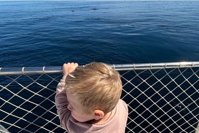 Paseo en Barco Privado para dos en Busca de Delfines por la Bahía de Estepona con Cava y Picoteo (Málaga)