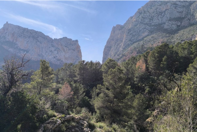 Barranquismo de Iniciación con Fotos y Vídeos (Alicante / Valencia)