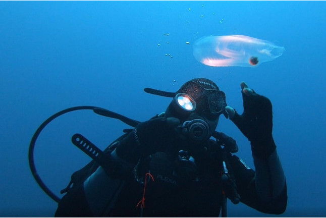 Bautizo de Buceo Privado con Instructor en Exclusiva (Las Negras, Almería)