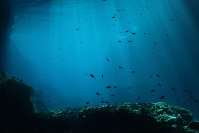 Bautizo de Buceo Privado con Instructor en Exclusiva (Las Negras, Almería)