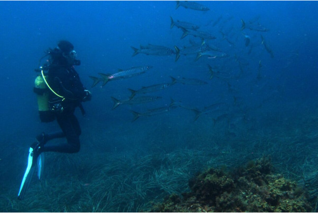 Bautizo de Buceo Privado con Instructor en Exclusiva (Las Negras, Almería)