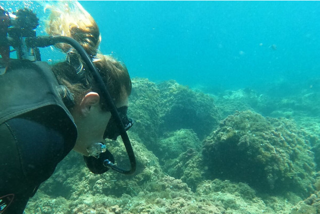 Iniciación al Buceo con Reportaje Fotográfico: Discover Scuba Diving (Calpe, Alicante)