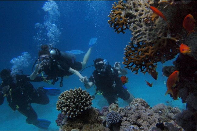Bautismo de Buceo (Granada)