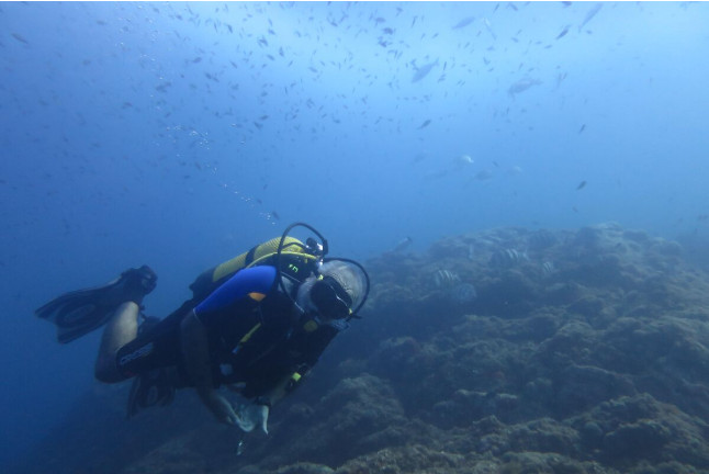 Bautismo de Buceo para 1 o 2 personas (La Azohía, Región de Murcia)