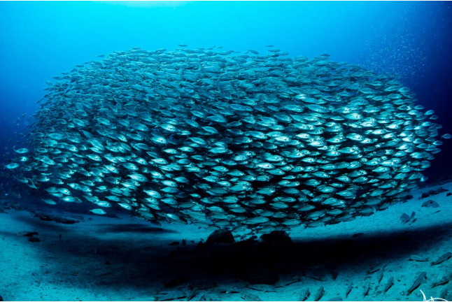 Bautismo de Buceo (Lanzarote)