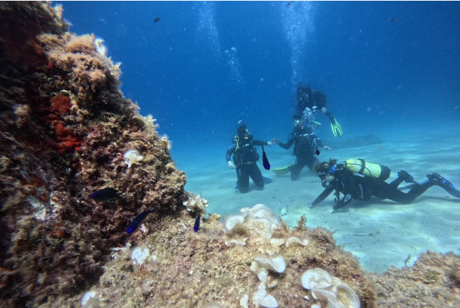 Bautizo de Buceo con Fotos y Vídeos Opcionales (Lloret de Mar, Girona)