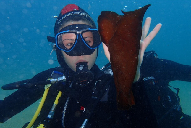 Bautismo de Buceo en Cala Gogo para dos (Sant Antoni de Calonge, Costa Brava)